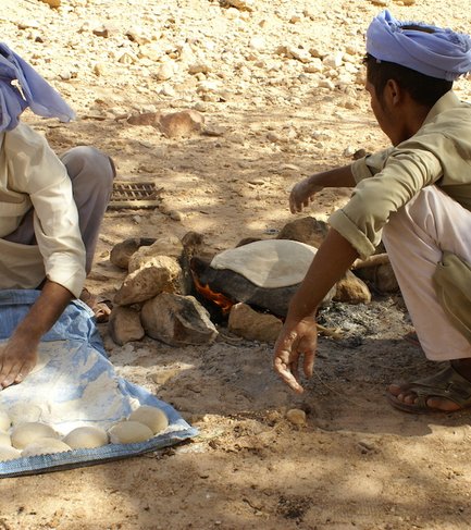 Bedouins